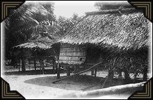 Native huts in New Guinea.